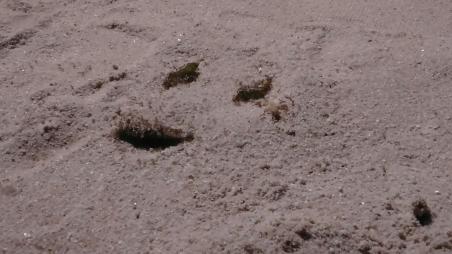 photo_2017-01-15_02-14-59