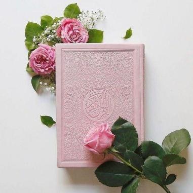 photo_2018-05-16_05-46-13