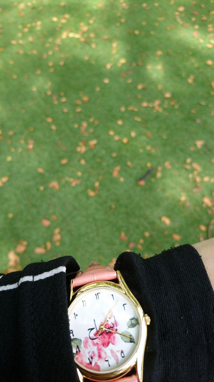 photo_2018-11-08_13-41-53